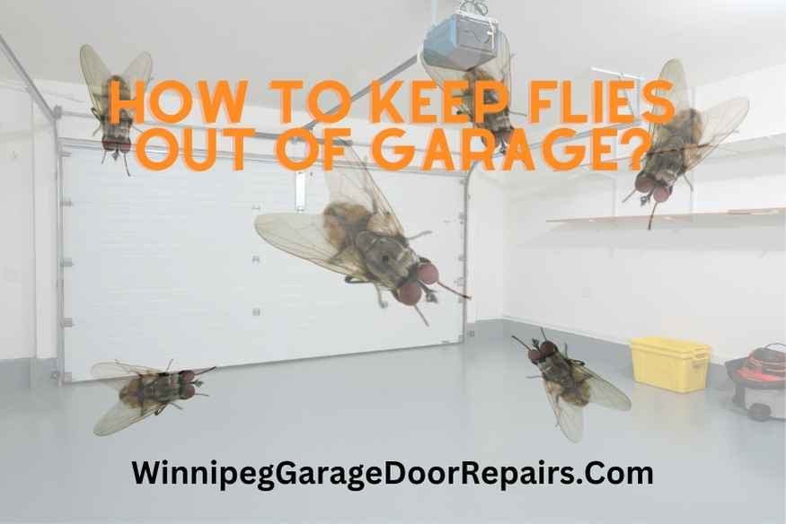 How to Keep Flies Out of Garage